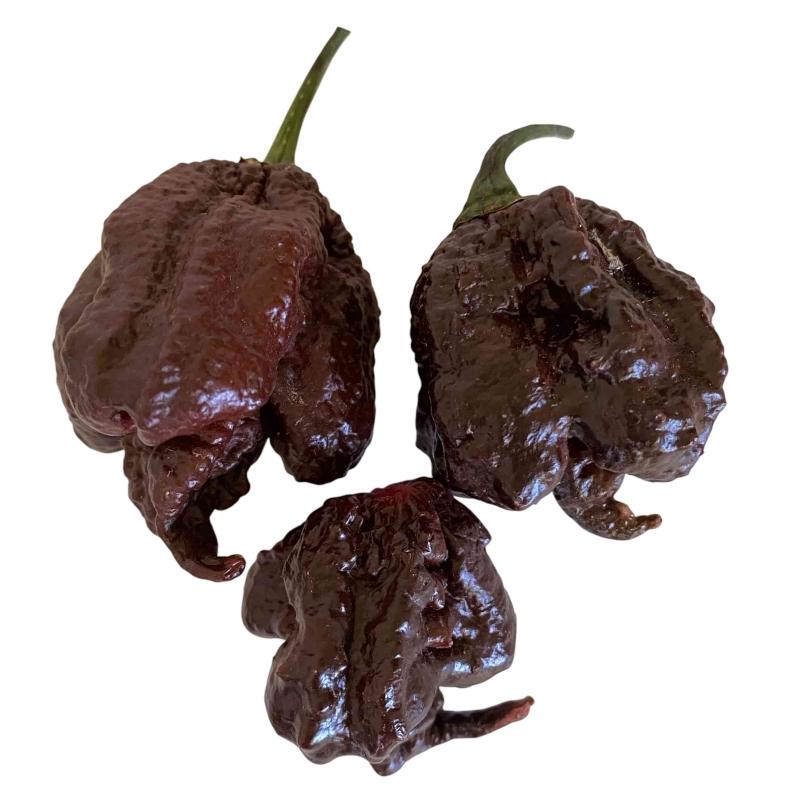 CAROLINA-REAPER-CHOCOLATE.jpg