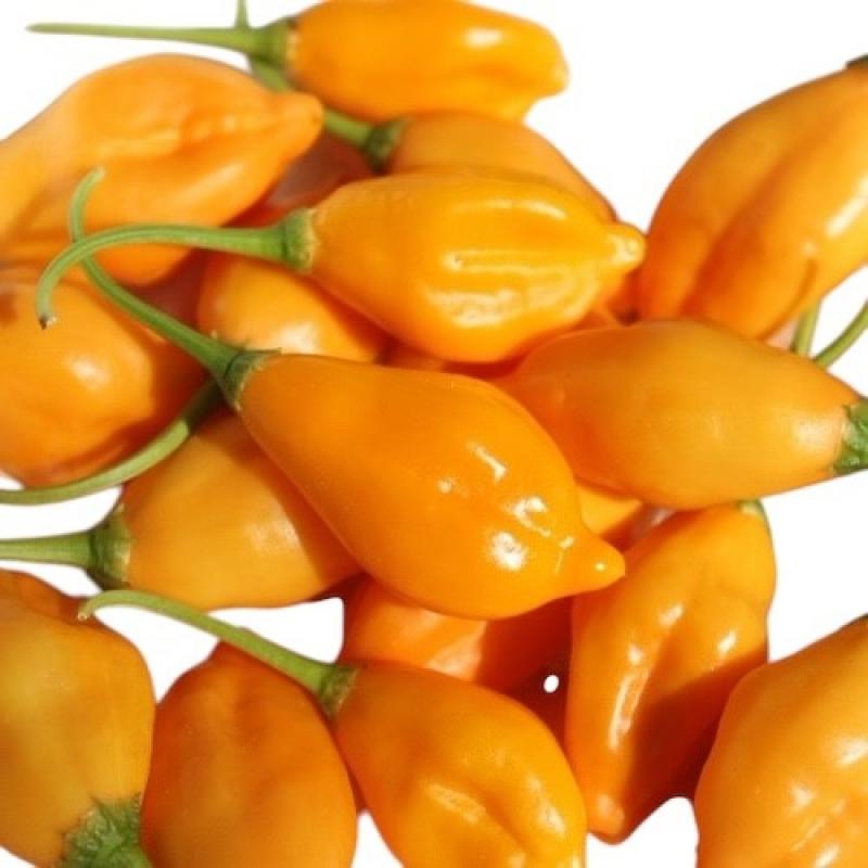 aji-mandarin.jpg