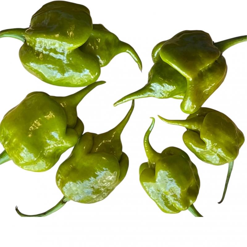 carolina-reaper-mustard.jpg