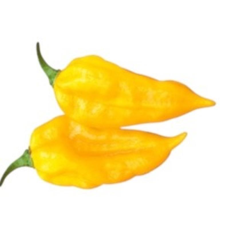 fatalii.jpg