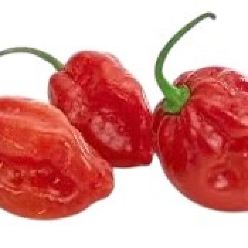 habanero-rosso.jpg