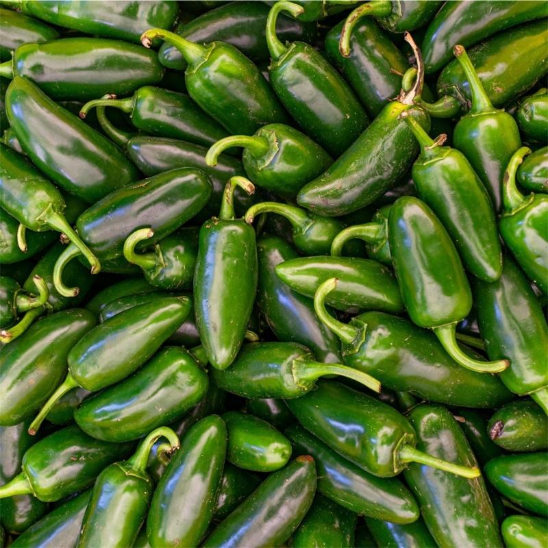 jalapeno-early.jpg