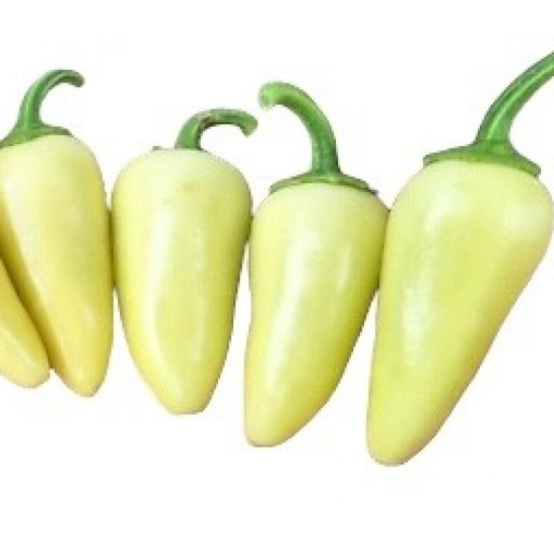 jalapeno-white.jpg