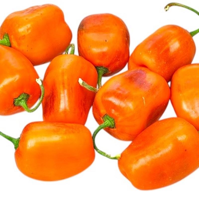 rocoto-oculto-clef.jpg